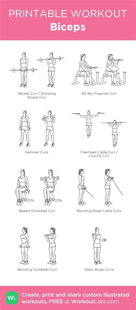 Full Body Workout Blog Barbell Exercises For Arms And Shoulders