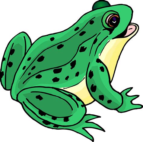 Frogs Clipart Cartoon Frogs Cartoon Transparent Free For Download On