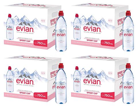 Buy Evian Natural Spring Water Individual 750 Ml 254 Oz Bottle With