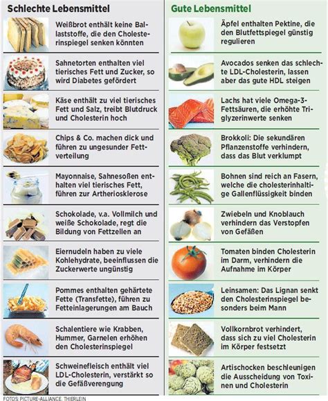 colesterin ernähru Berthe Nic Cholesterinarme ernährung