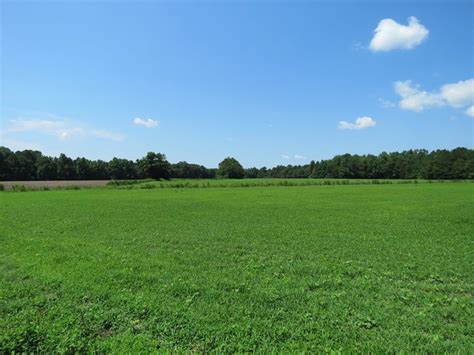 10 Acres For Sale In Columbus County Nc Rock Creek Land Company