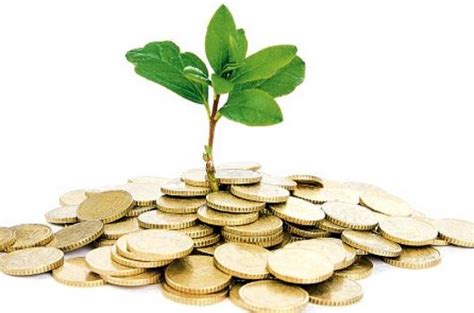 The aggregate production function and growth. Achieving Economic Growth, The Role of Government | The ...
