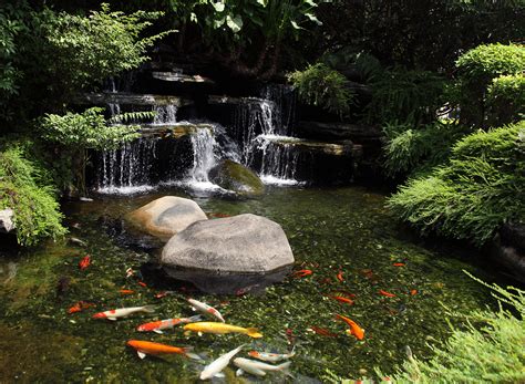 Fish Pond Landscape Ideas Small Fish Pond Designs Look Perfect For