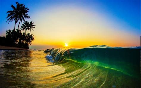 Nature Landscape Sunrise Sunlight Morning Beach Sea Waves Palm Trees Sand Liquid