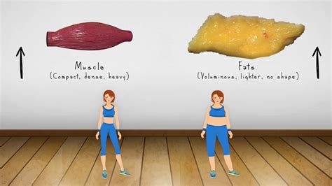 Weight Loss Vs Fat Loss Animated Video Difference Between
