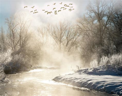Misty Winter Scene Photograph By Judi Dressler Pixels