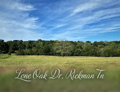 Very secluded and tranquil yet minutes from downtown cullman and amenities. Rickman, Overton County, TN Undeveloped Land for sale ...