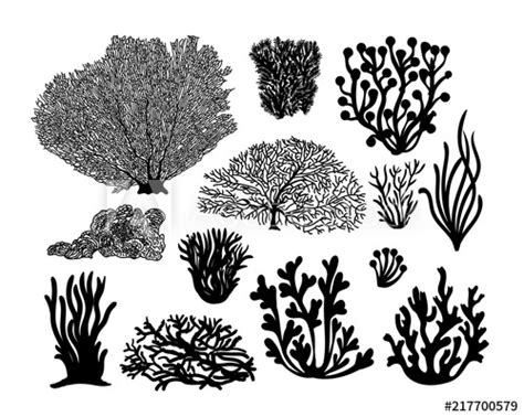 Coral Silhouette Vector At Collection Of Coral