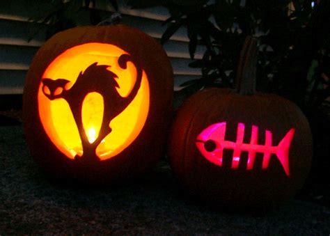 Which is really good for cats. 11 awesome cat pumpkin carving ideas!