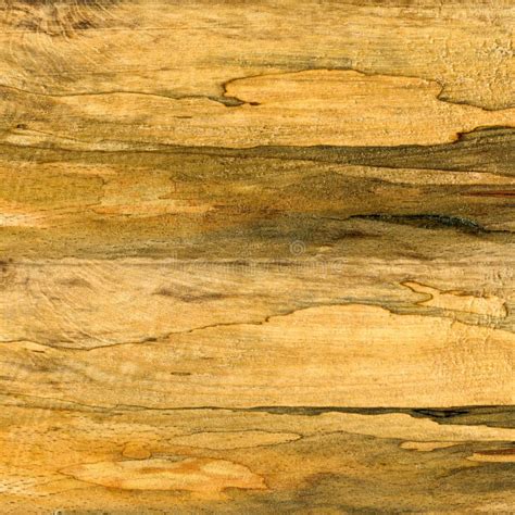 Hornbeam Wood Can Be Used As Background Wood Grain Texture Stock