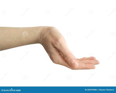 Open Female Hand Palm Up Isolated On A White Background Stock Photo