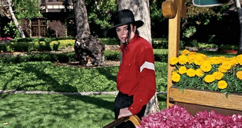 Inside Neverland Ranch The Alleged Site Of Michael Jacksons Worst Crimes