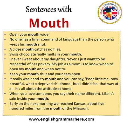 Sentences With Mouth Mouth In A Sentence In English Sentences For Mouth English Grammar Here