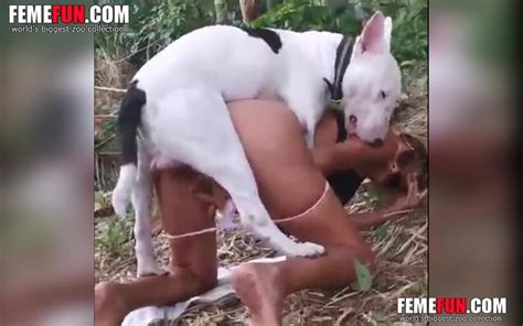 Dog Xxx Sex Sexy Wife Engaging In Hardcore Beastiality