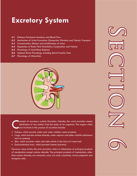 important topics in physiology for mbbs exams excretory sustem