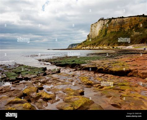 Wave Cut Platform Cliff Hi Res Stock Photography And Images Alamy
