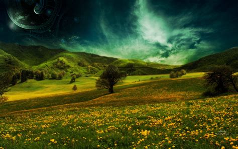 Mountain Flower Landscape Full Hd Desktop Wallpapers 1080p