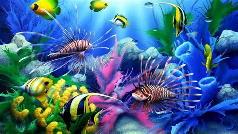 Sea Seabed Colorful Tropical Fish Coral Wallpaper Hd For