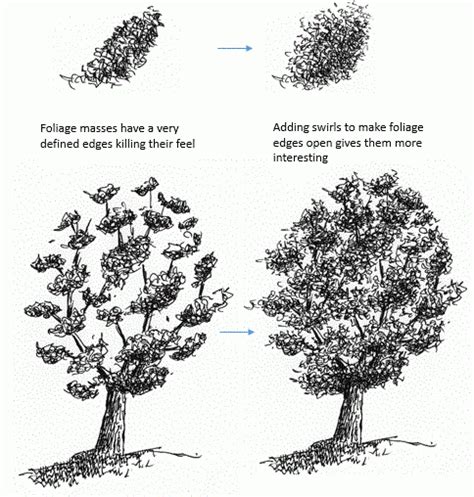 How To Draw A Tree With Pen And Ink Pen And Ink Drawings By Rahul Jain
