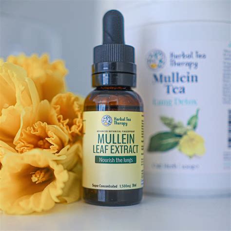 Mullein Extract - herbalteatherapy