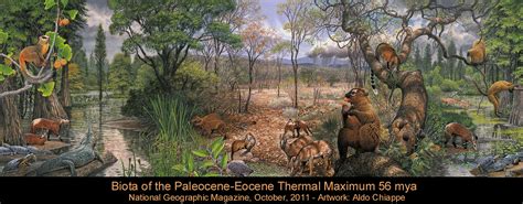 Station 3 Eocene Primates Adapids And Omomyids Anth 161