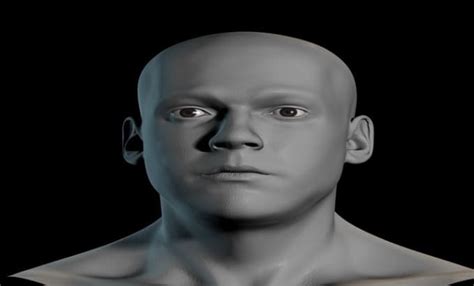 Sculpt 3d Model 3d Head3d Bustcharacter Modeling With Maya Ready For