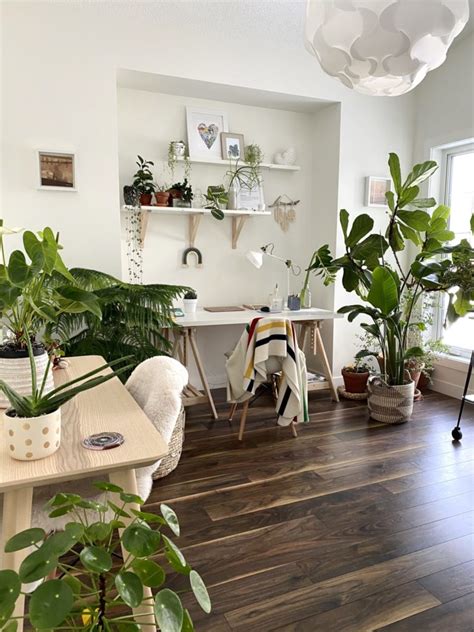 How To Decorate Your Home With Plants