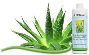 Estoy con ganas de probar el herbal aloe vera de herbalife y quiero más información. PLANTAS MEDICINALES: Beneficios Concentrado Aloe Vera de ...