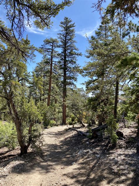 Check spelling or type a new query. Trail not far from Las Vegas, NV. iPhone 11 Pro Max ...