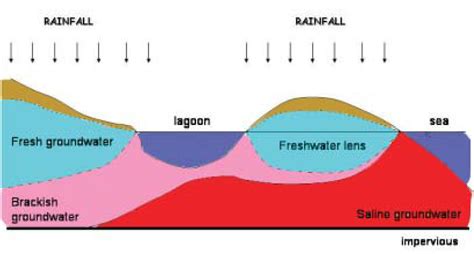 Conceptual Sketch Of Fresh Brackish And Saltwater Under A Strip Of
