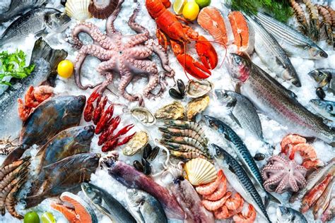 Free Webinar On Sustainable Seafood Sourcing Fishing News