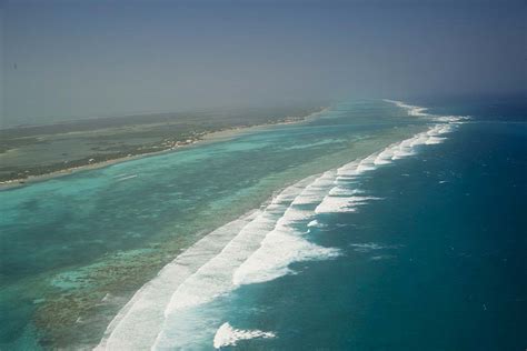The belize barrier reef is the 2nd largest coral reef in the world and home to 7 unesco world heritage sites. Village View Post: ARTICLE OF INTEREST: BELIZE BARRIER ...