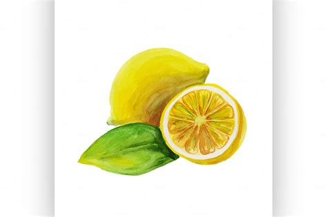 Lemon Watercolor Painting ~ Illustrations On Creative Market