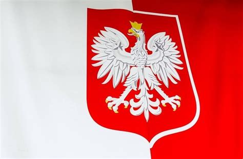 Zmiana Godła Polski Tego Chce Pis Co Ma Się Zmienić Zobacz Szczegóły Gazetawroclawskapl