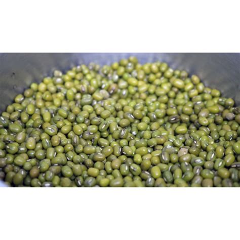 Ketiak hitam membuatmu kurang percaya diri untuk menjalani hari? Jual Kacang Hijau Super 250 Gr/ Mung Bean - Jakarta Barat ...