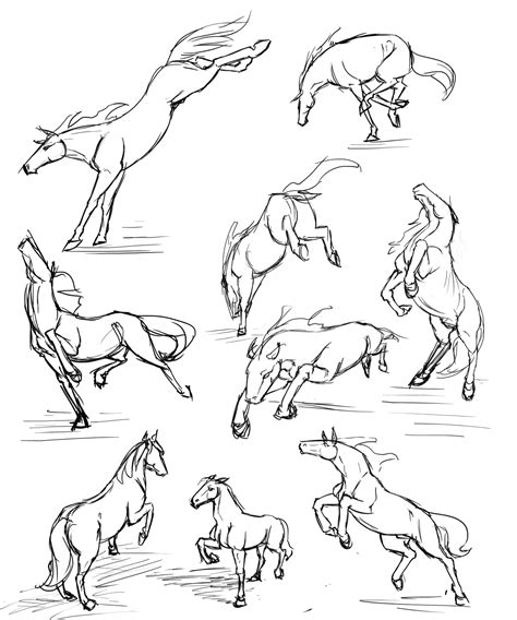 More Horse Studies By Rasnovstables On Deviantart Artofit