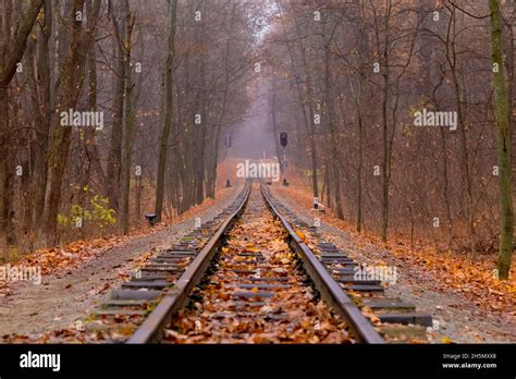 Railroad Single Track Through The Woods In Autumn Fall Landscape Red