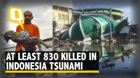 832 Dead In Indonesia Earthquake And Tsunami Disaster Agency The Quint Youtube