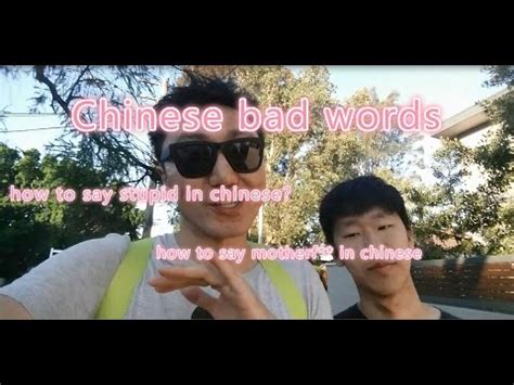This should help you : Chinese bad words( 18+ only) -[Chinesevid production ...