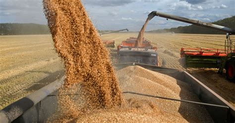 Russia Annual Grain Harvest To Grow 5 Million Tonnes Thanks To New