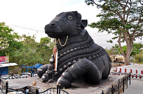 Lord Nandi Photos Lord Nandi Images Lord Nandi Hd Wallpapers Lord