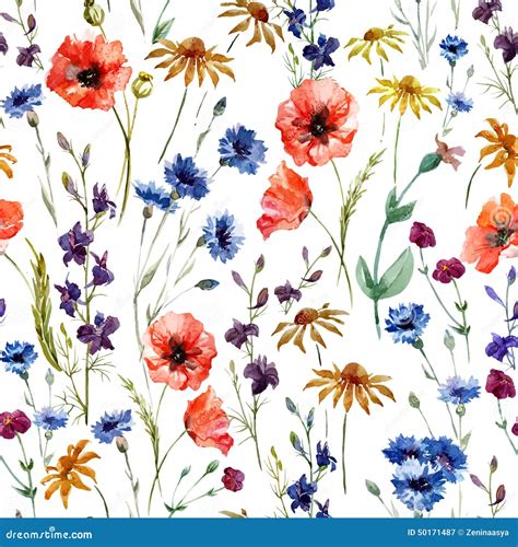 Wildflowers Stock Vector Illustration Of Flower Decoration 50171487