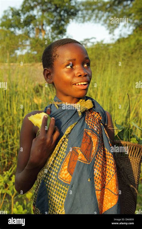 Pygmies Congo Hi Res Stock Photography And Images Alamy