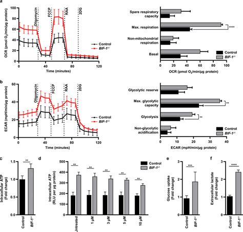 Bif 1 Inhibits Mitochondrial Metabolism A B Ocr And Ecar Measurements