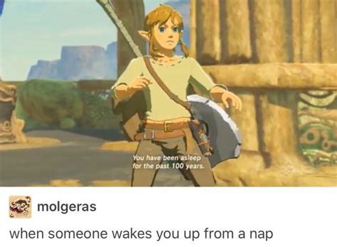 Pin By Lavenderturtle999 On Memes Legend Of Zelda Memes