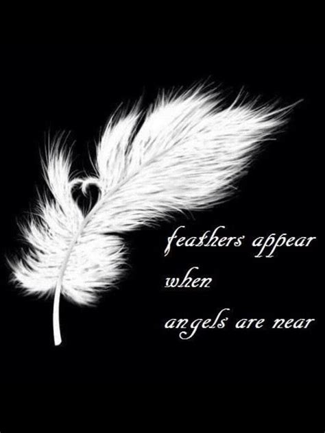 Feathers Angel Quotes Angel Home Quotes And Sayings
