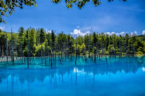 Der Blue Pond In Biei Japan Urlaubsgurude