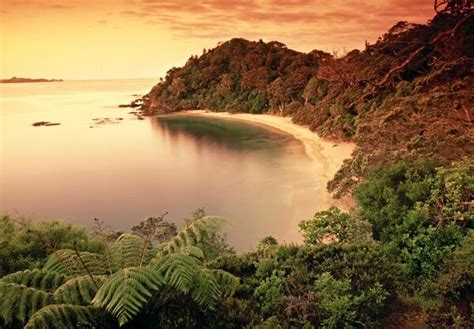 Whale Bay Northland New Zealand 1653361 Canvas Framed