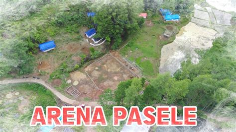 Sikon Arena Pasele Adat Tedong Silaga Dalam Prosesi Rambu Solo Toraja Youtube