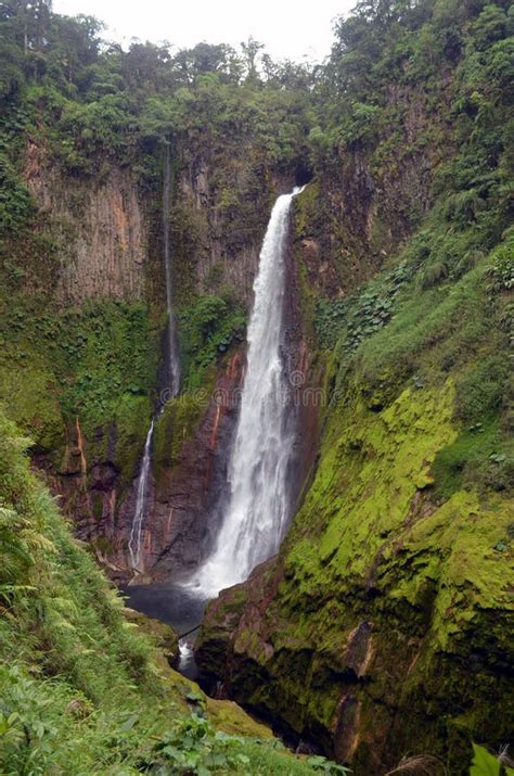 Catarata Del Toro Costa Rica Stock Photo Image Of Waterfalls Rica